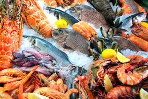Great seafood of Galicia